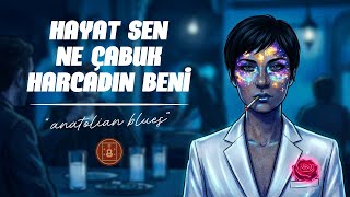 Hayat Sen Ne Çabuk Harcadın Beni - Anatolian Blues Cover