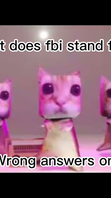 What Does FBI Stand For WRONG ANSWERS ONLY YouTube what-does-fbi-stand-for-wrong-answers-only-youtube