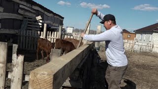 Переселение в северные регионы: какую поддержку получают граждане