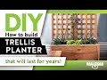 How to Build Trellis Vertical Garden - RealCedar.com How to Build Trellis Vertical Garden - RealCedar.com