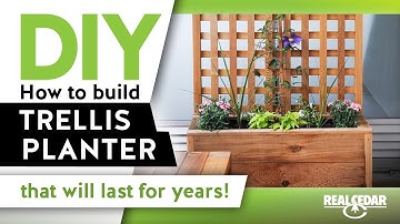 How to Build Trellis Vertical Garden - RealCedar.com