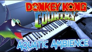 Aquatic Ambiance - Donkey Kong Piano Duet with Myself