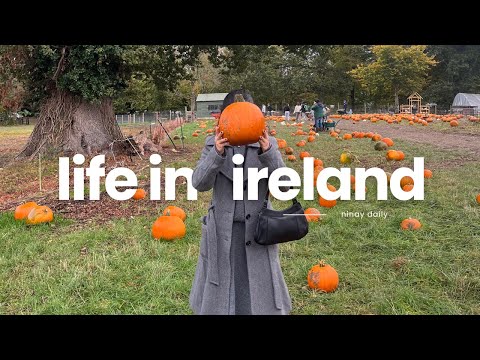Life in Ireland: First Time Pumpkin Picking at Corderry Fruit Farm 🎃 Fall Adventures & Cozy Vibes