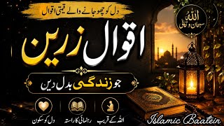 Aqwal-e-Zareen | Dil Ko Badal Dene Wale Qeemti Alfaaz#islamicvideo#motivation#quotes  screenshot 2