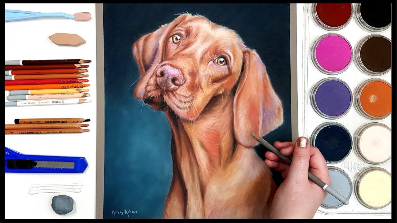 How to Draw a Dog using Pan Pastels and Pastel Pencils // Useful Tips for Realistic Drawing