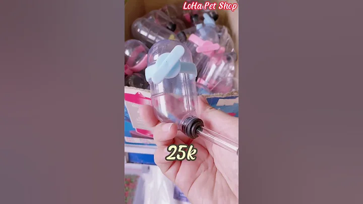 Chuột Hamster giá rẻ cho học sinh tại LoHa Pet Shop #Shorts