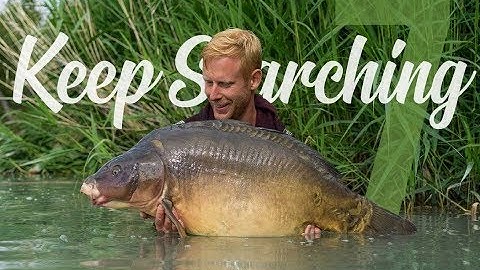 Nu live: Keep Searching - Deel 7 met Mark Hofman