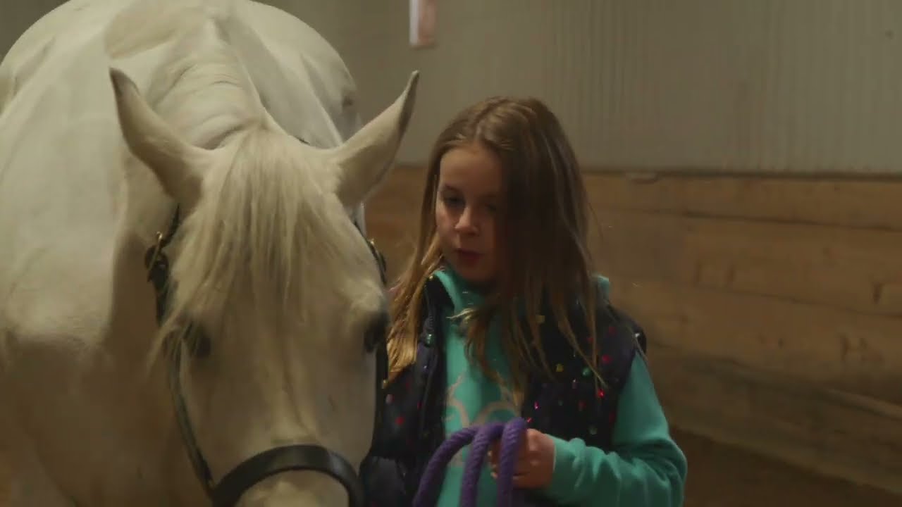 Avery's Surprise / / A Girl and Her Horse YouTube