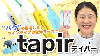 【営業かすみん】ツインタイプの蛍光マーカー！可愛くて匂い付き？taiperシリーズの魅力を全部語ります！【文具女子】