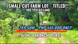 (PROPERTY #56)  TITLED SMALL CUT FARM LOT FOR SALE - FLAT LAND  ! TITLED!