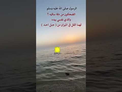 جبر الخواطر شعر قصيد شيلات خواطر بدون موسيقى شيله