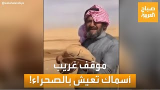 حديث السوشال | أسماك تعيش في صحراء السعودية.. واحتجاجات ضد تسلا في الصين