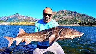 STURGEON FISHING FROM SHORE!!! Secret Mission on the Columbia River...