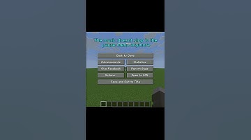 The music plays in the pause menu now? #minecraft