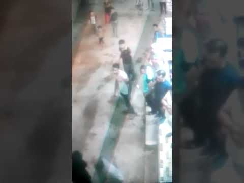 فين الامن يا حكومه بلطجية اولاد اللبودى يفرضون سيطرتهم على شارع نايف عماد بحى ثان طنطا