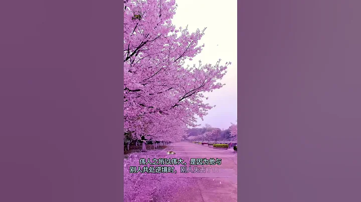 励志名言短句霸气 - #治愈系风景 #自然美景分享 - 天天要闻