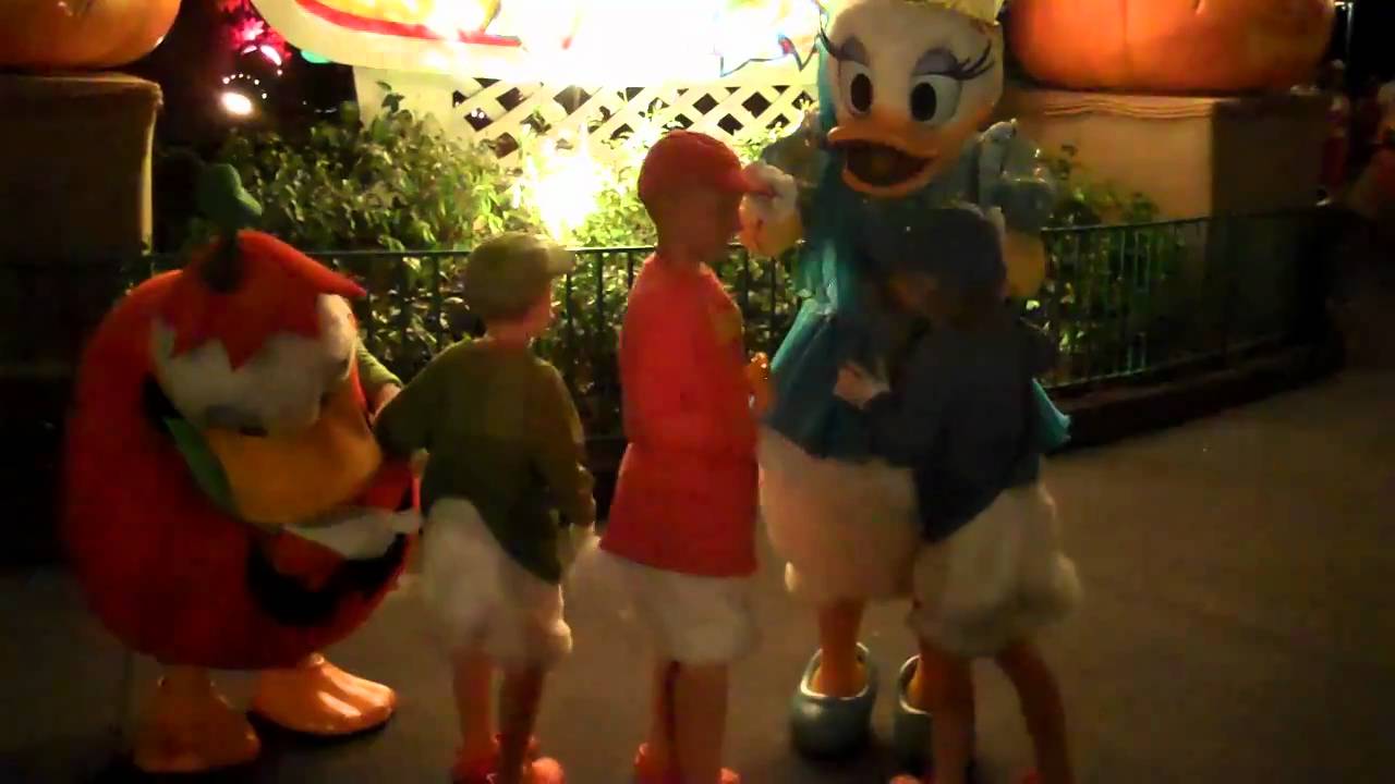Huey, Dewey, Louie meet Donald & Daisy at Magic Kingdom