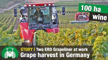 Kitzer Estate Winery (ERO harvesters and Fendt tractors | Grape Harvest | Wine Growing | Part 2 )