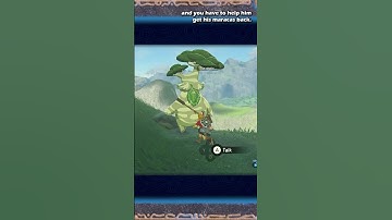 How to Add more Inventory Slots in Zelda Breath of The Wild | BotW