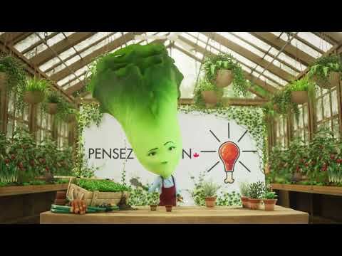 Les légumes adorent le dindon - Laitue romaine