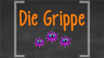 Infektionskrankheiten - Die Grippe (Influenza)
