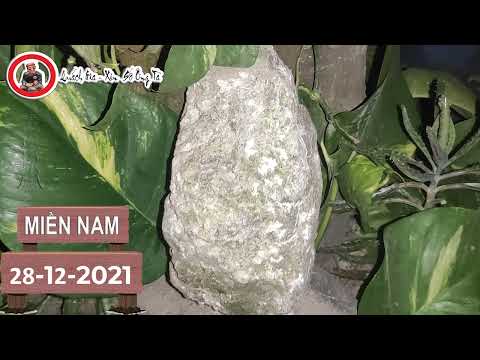 Xin Số Ông Tà MN 28-12-2021 \ Trả Lễ Rực Rỡ Hôm Nay | Quách Gia