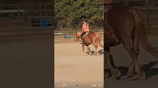 Not Her Almost Trampling The Cone