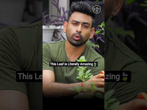 Yeh Patta Nahi, Natural Multivitamin Hai 🍃