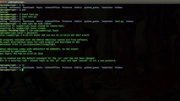 Raspberry Pi Disappearing Files