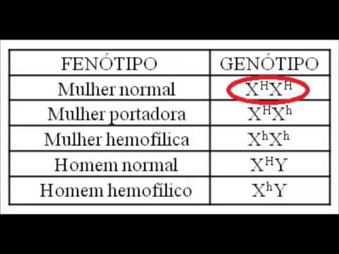 Genetica Video Hemofilia Youtube