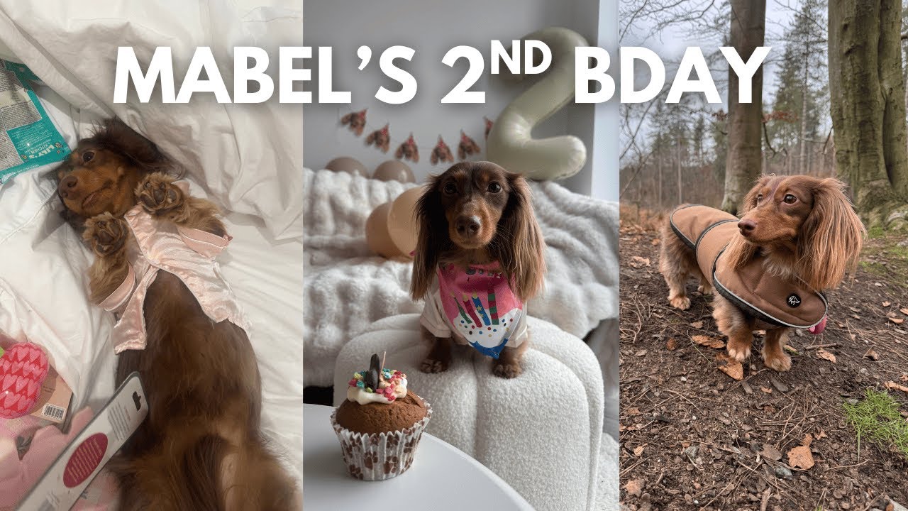 Mabel's 2nd birthday🥳✨🎀🧁