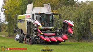 In 36 Sekunden Ausgeklappt und Einsatzbereit Körnermais Dreschen LU Behr Erntet 350ha Mais Maisernte