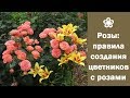 ❀ Розы: правила создания цветников с розами