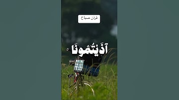 #قرآن_الصباح #المنشاوي #محمد_صديق_المنشاوي #تلاوة_خاشعة #اكسبلور #المصحف #بلغوا_عنى_ولو_اية #قرآن