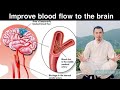Improve blood flow to the brain  wudang zidong