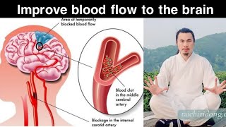 Improve blood flow to the brain | Wudang Zidong