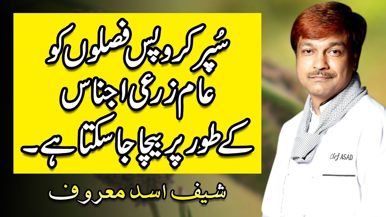 Thumbnail for Super crops can be sold as ordinary agricultural commodities | Chef Asad Maroof | Rehan Allahwala