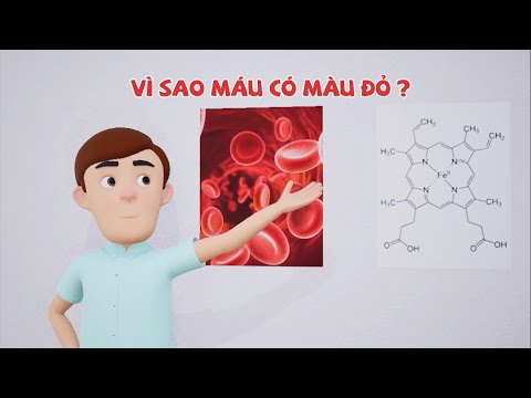 Máu Có Màu Đỏ Là Do - Vì sao máu có màu đỏ I BỘ TỨ THÔNG MINH I Phim hoạt hình hay nhất 2021