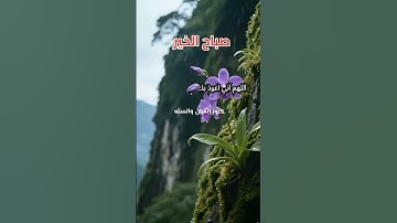 من اذكار الصباح #viralreels #اكسبلور #المصحف #قرآن #explod #viral #تيك_توك #explore
