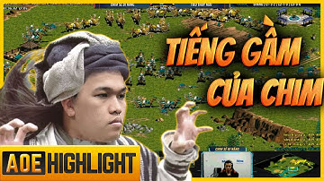 LIÊN TỤC CHƠI NHÂY - CSDN khiến TIỂU THỦY NGƯ phải TRẢ GIÁ | AoE Highlights