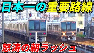 【過密】JR東海道本線怒涛の朝ラッシュ！線路8本で列車の連続通過が凄い！