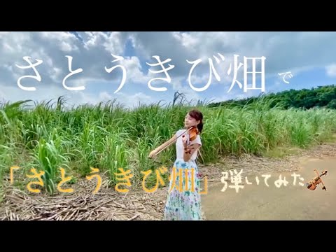【ヴァイオリン旅/沖縄•宮古島】さとうきび畑／森山良子【リアルさとうきび畑】