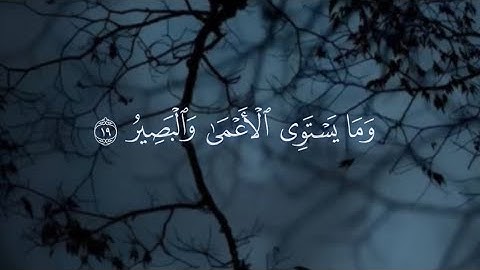 (وما يستوي الأعمى والبصير) عشائية هادئة من سورة فاطر | مشاري العكيل