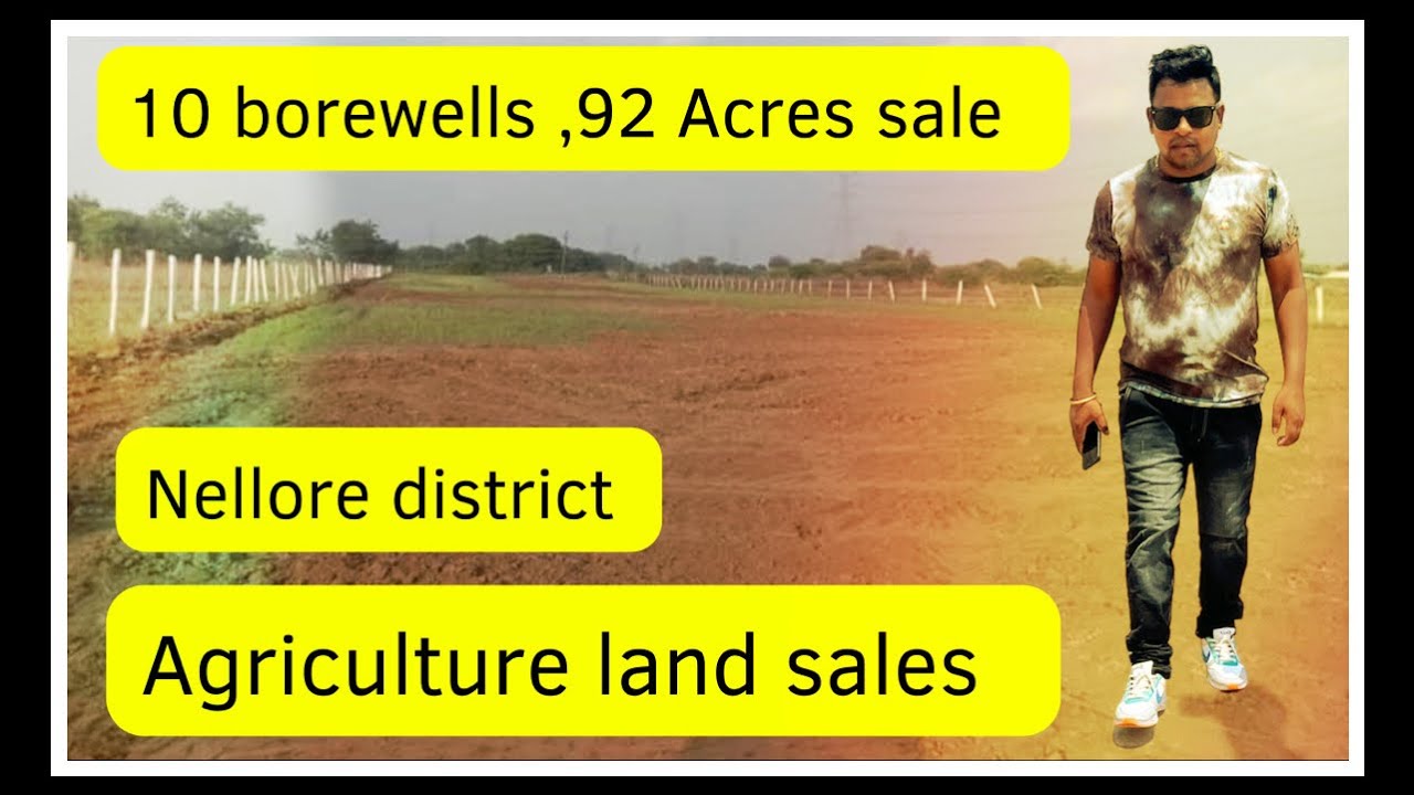10 Borewells 92 Acres land sale Nellore cheapest agricultural land