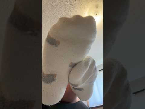 Happy Sock Saturday 🐨🧦 #fuzzysocks #shorts #softsoles #anklesocks #feet #saturday #explore #fypシ