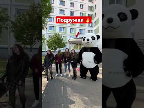 Мишка панда & подружки поздравляют с Днём Рождения очаровательную девочку 🥰 Найдёшь ее первым?