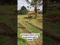 Persiapan lahan untuk penanaman pohon durian || #shorts #durian #fyp #investasi #viral