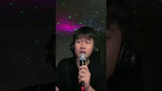 Lời tạm biệt chưa nói- cover