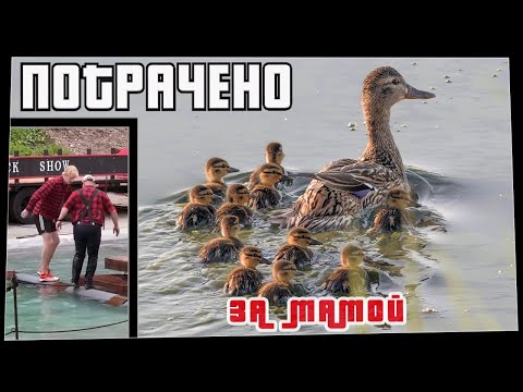 Потрачено. За мамой. Лучшие приколы, смешные видео и фейлы