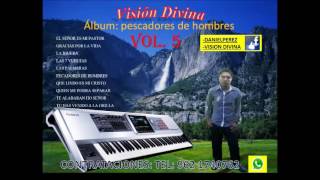 Video thumbnail of "vision divina tu has venido a la orilla"